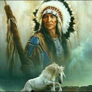 Meet your Posher, Hollis